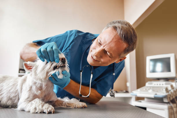 Best Emergency Root Canal Treatment in Shadeland, IN